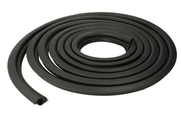 BLIC Door Seal 5703-04-2507507P BLIC 5703-04-2507507P Ford Focus 2 da door seal price