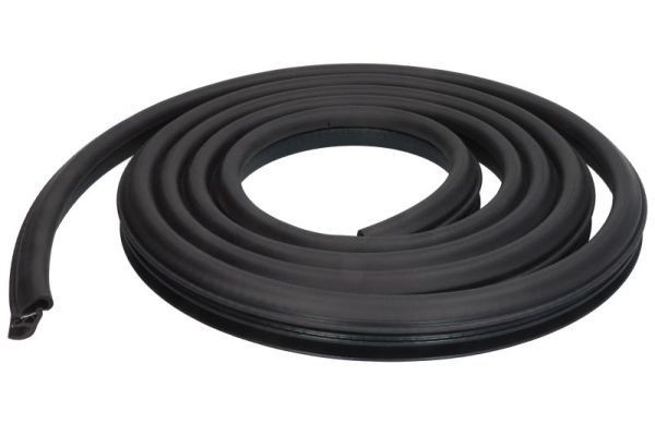 Tesnenie dverí BLIC 5703-04-3127501P BLIC 5703-04-3127501P Dvere diely Hyundai ATOS 2003