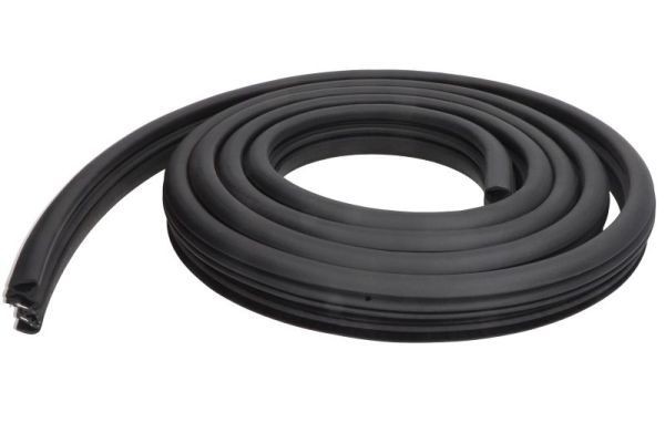 BLIC Türdichtung 5703-04-5026502P 5703-04-5026502P BLIC LANCIA Türdichtung hinten links rechts