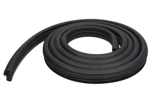 BLIC Türdichtung 5703-04-5027502P 5703-04-5027502P BLIC LANCIA Türdichtung hinten und vorne