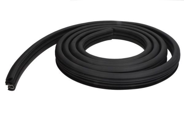 BLIC Guarnizione portiera 5703-04-5511503P BLIC 5703-04-5511503P Guarnizione portiera Partner II Camion pianale/Telaio prezzo