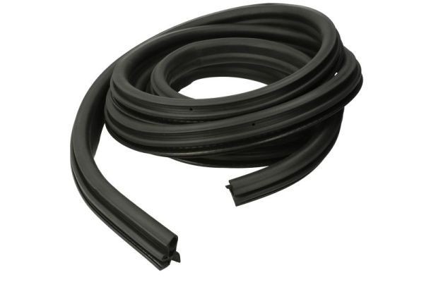 BLIC Türdichtung 5703-04-9558503P 5703-04-9558503P BLIC Türdichtung Passat B7 Variant Kosten