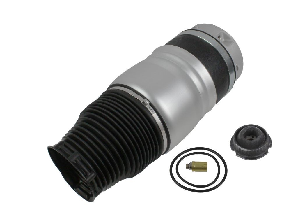 ABAKUS Pneimoatsperes spilvens, Pneimopiekare 131-02-204 ABAKUS 131-02-204 Pneimoatsperes spilvens, pneimopiekare Golf Plus cena