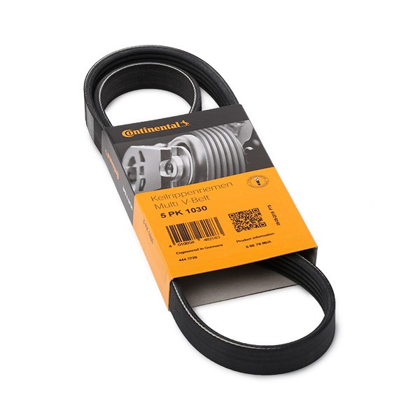 CONTITECH Cinghia servizi 5PK1030 CONTITECH 5PK1030 Cinghia servizi