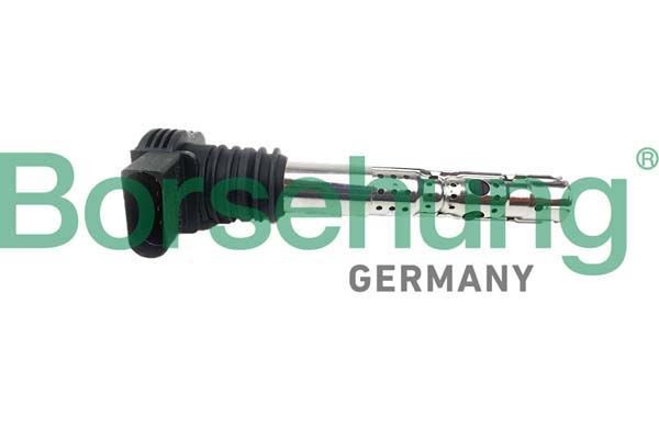 Borsehung Bobina d'accensione B10691 B10691 costo Bobina d'accensione Borsehung Volkswagen PASSAT