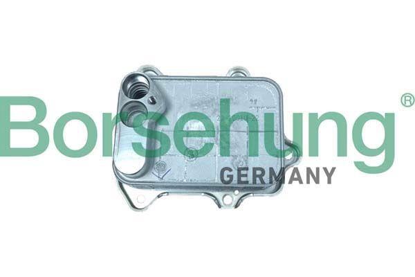 Borsehung Radiatore olio motore B10883 B10883 Radiatore olio FORD Borsehung costo