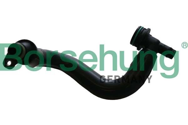Borsehung Hadica odvetrania kľukovej skrine B12306 Hadica odvetrania kľukovej skrine Borsehung Renault Symbol B12306
