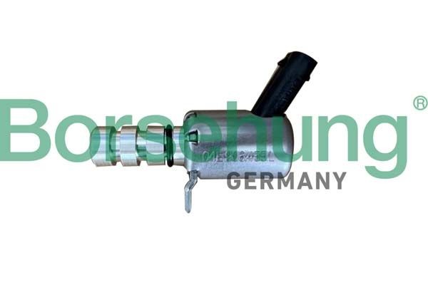 Borsehung Styreventil, kamakseljustering B12313 B12313 Styreventil, kamakseljustering RENAULT MEGANE Borsehung