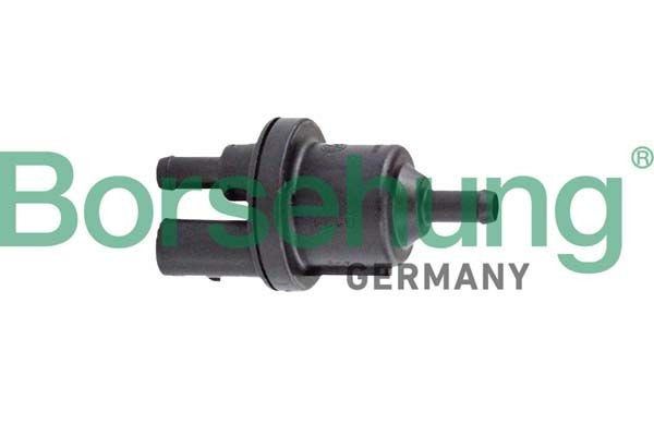 Borsehung Valvola, Filtro ai carboni attivi B12317 B12317 Valvola ventilazione / sfiato, serbatoio carburante Borsehung Volkswagen UP costo