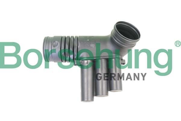 Borsehung Indsugningsslange B12330 B12330 Indsugningsslange, luftfilter VW POLO Borsehung
