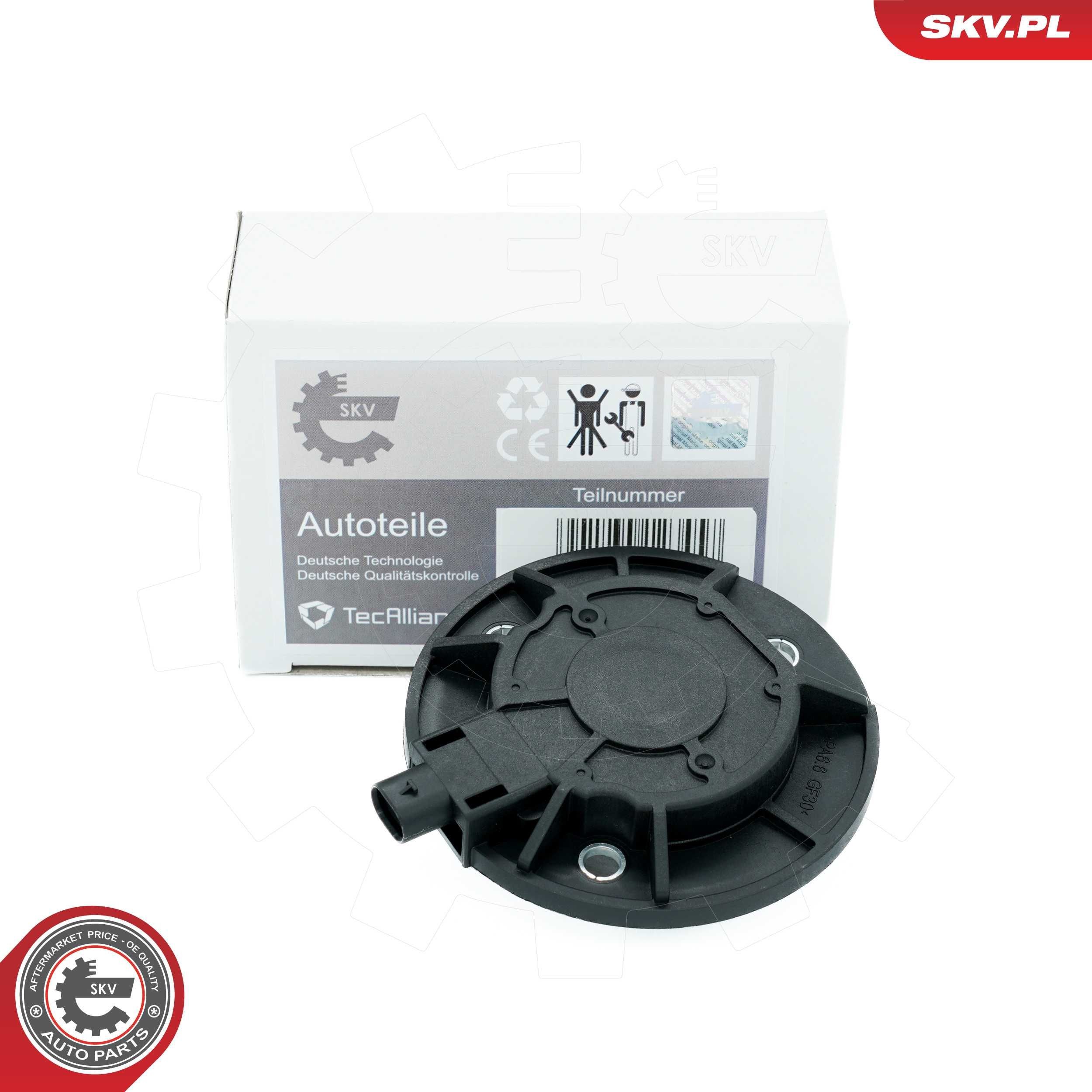 ESEN SKV Centralmagnet, kamaxeldtällning 39SKV900 DACIA vvt-ventil ESEN SKV 39SKV900