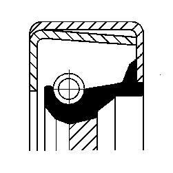 CORTECO Paraolio, Cambio manuale 12011394B CORTECO 12011394B Paraolio cambio Fiat Scudo 220L Van prezzo