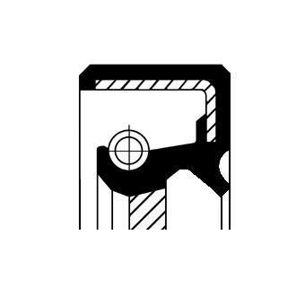 CORTECO Keerring, oliepomp 19016594B Jeep WRANGLER Oliepomp van de motor CORTECO 19016594B