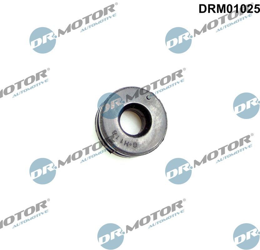 DR.MOTOR AUTOMOTIVE Προσκρουστήρας, κάλυμμα κινητήρα DRM01025 Προστασία κινητήρα / προστατευτική ποδιά DACIA DR.MOTOR AUTOMOTIVE DRM01025