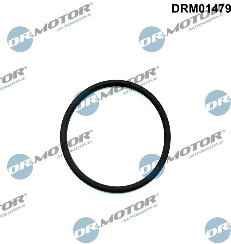 DR.MOTOR AUTOMOTIVE Pakking, inspuitpomp DRM01479 DRM01479 Pakking, inspuitpomp LAND ROVER DISCOVERY DR.MOTOR AUTOMOTIVE