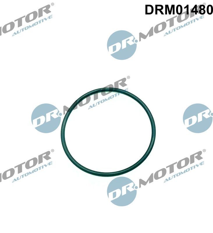 DR.MOTOR AUTOMOTIVE Pakning, indsprøjtningspumpe DRM01480 Pakning, indsprøjtningspumpe DR.MOTOR AUTOMOTIVE VITO DRM01480 billig
