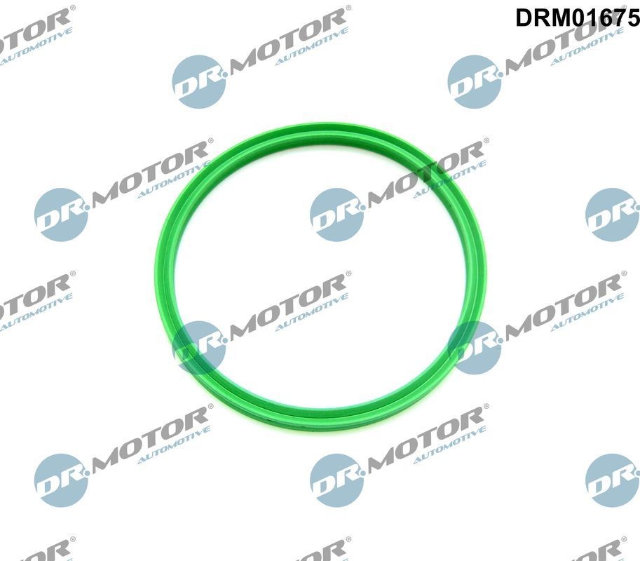DR.MOTOR AUTOMOTIVE Tetningsring, laseluftslange DRM01675 DR.MOTOR AUTOMOTIVE DRM01675 Tetningsring, laseluftslange Honda Civic Fastback billige