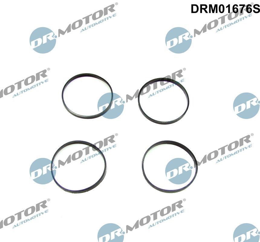DR.MOTOR AUTOMOTIVE Blīvju komplekts, Ieplūdes kolektors DRM01676S Ieplūdes kolektora blīve DR.MOTOR AUTOMOTIVE BMW X1 DRM01676S