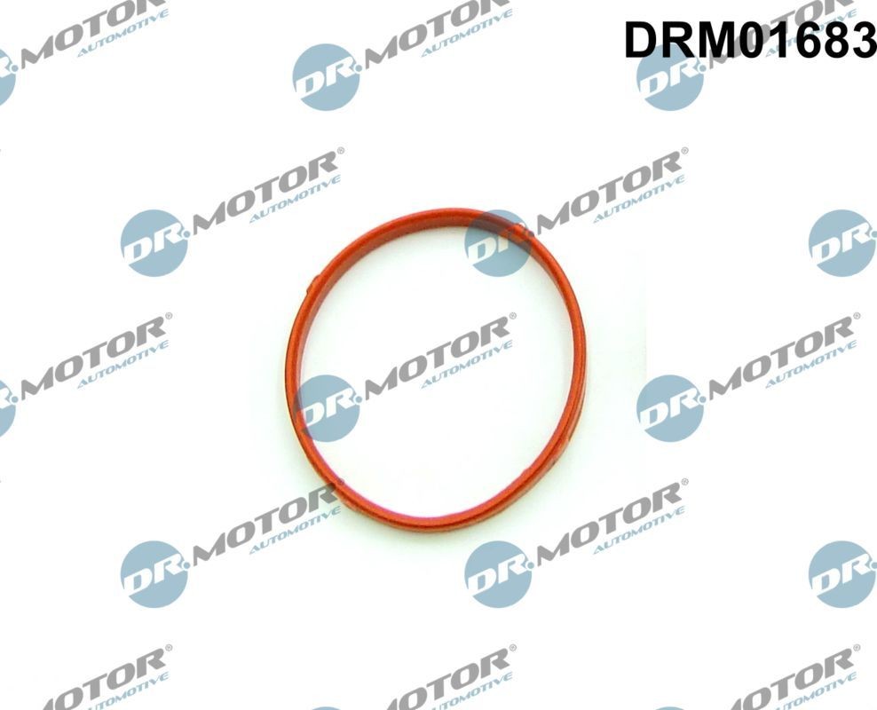 DR.MOTOR AUTOMOTIVE Joint, manchon de vanne papillon DRM01683 DR.MOTOR AUTOMOTIVE DRM01683 d'origine Boitier papillon 3 Cabriolet (E46) coût