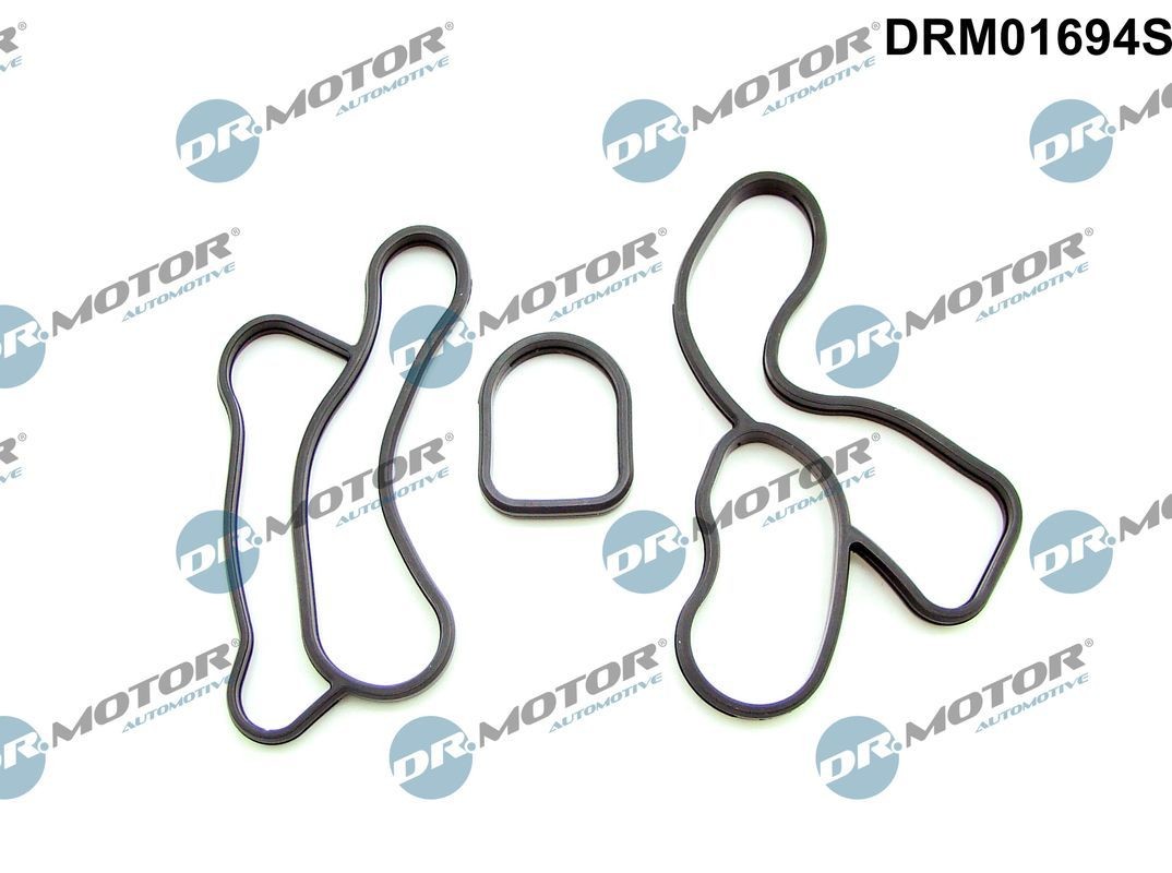 DR.MOTOR AUTOMOTIVE Sada tesnení chladiča oleja DRM01694S DR.MOTOR AUTOMOTIVE DRM01694S originálne Tesnenie chladiča oleja BMW G11 cena