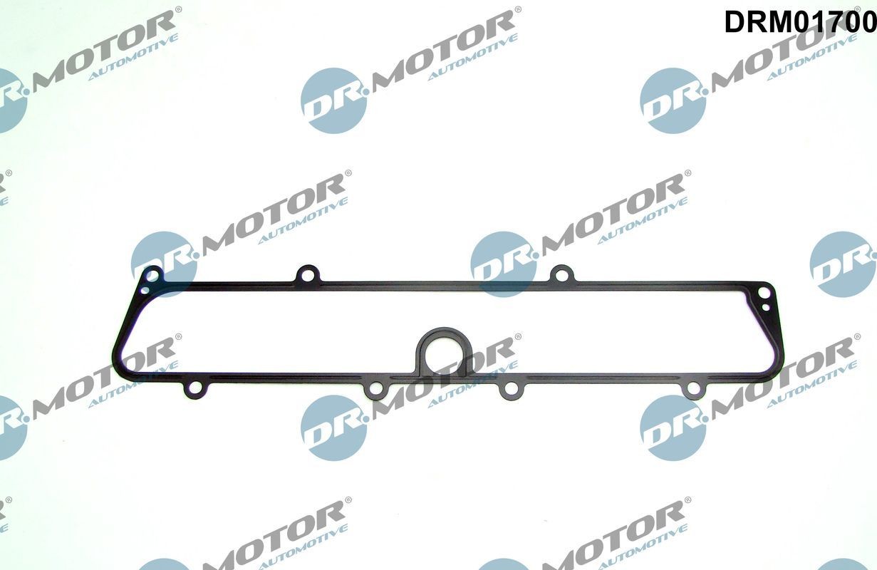DR.MOTOR AUTOMOTIVE Pakninger, innsug DRM01700 DR.MOTOR AUTOMOTIVE DRM01700 Innsugspakning Opel Frontera B billige