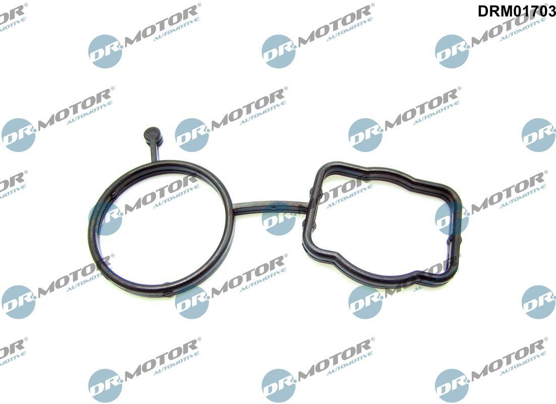 DR.MOTOR AUTOMOTIVE Junta, caixa de termóstato DRM01703 DR.MOTOR AUTOMOTIVE DRM01703 Junta termóstato Audi A4 B9 Avant a um preço acessível