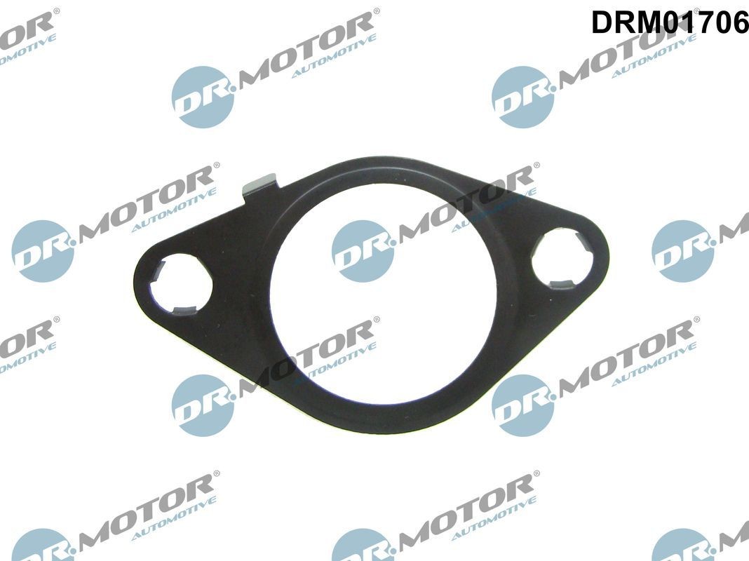 DR.MOTOR AUTOMOTIVE Φλάντζα, βαλβίδα AGR DRM01706 DRM01706 Φλάντζα, βαλβίδα agr DR.MOTOR AUTOMOTIVE PEUGEOT 4007