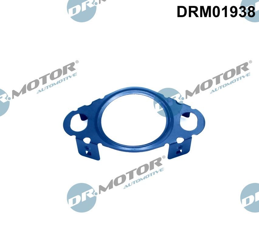 DR.MOTOR AUTOMOTIVE Dichtring, leiding AGR klep DRM01938 DR.MOTOR AUTOMOTIVE DRM01938 originele Egr-klep pakking FORD MONDEO prijs