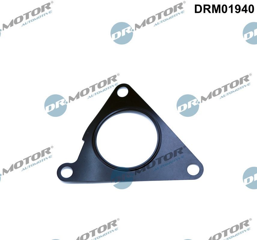 DR.MOTOR AUTOMOTIVE Afdichting, AGR klep DRM01940 DR.MOTOR AUTOMOTIVE DRM01940 Egr-klep pakking Skoda Rapid NH3 goedkoop