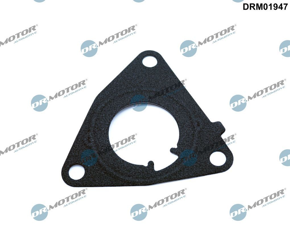 DR.MOTOR AUTOMOTIVE Tihend, vaakumpump DRM01947 Pump pidurisüsteem DR.MOTOR AUTOMOTIVE 600 DRM01947 odav