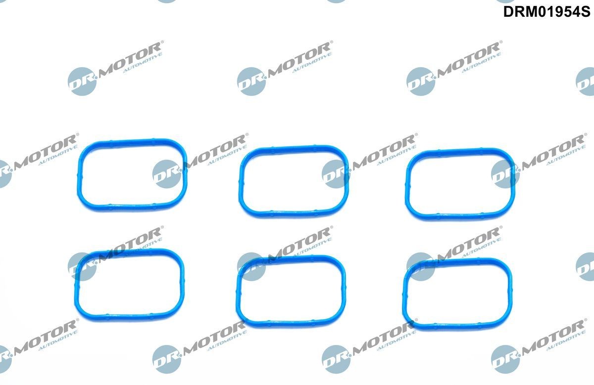 DR.MOTOR AUTOMOTIVE Tihendikomplekt, Sisselaskekollektor DRM01954S DR.MOTOR AUTOMOTIVE DRM01954S Sisselaskekollektori tihend Dodge Avenger Sedaan hind