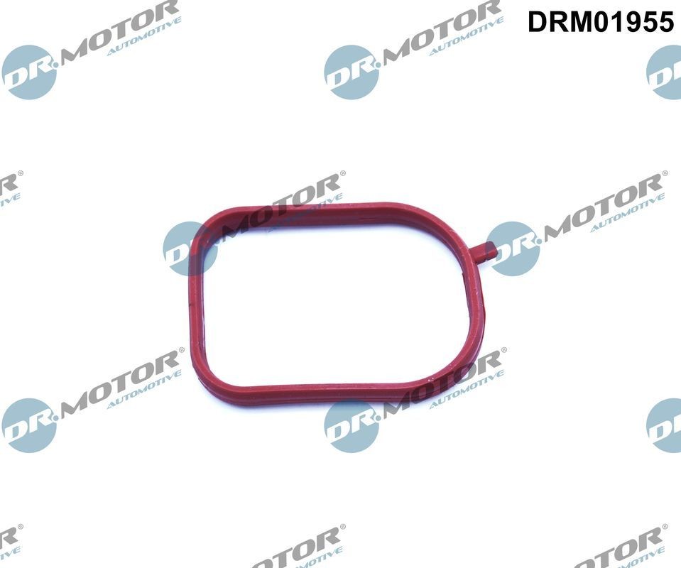 DR.MOTOR AUTOMOTIVE Packninmg, termostathus DRM01955 DRM01955 DR.MOTOR AUTOMOTIVE Kylsystsemstätningar Land Rover