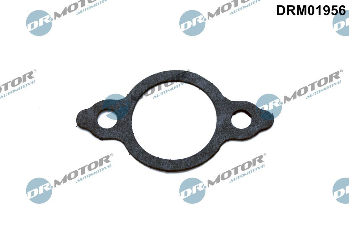 DR.MOTOR AUTOMOTIVE Joint, flexible vanne EGR DRM01956 DRM01956 Joint de vanne EGR DR.MOTOR AUTOMOTIVE AUDI A5