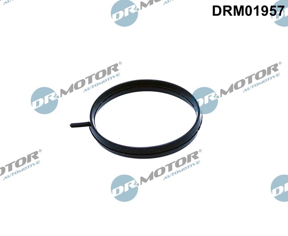 Pakning,gasspjældsstuds DR.MOTOR AUTOMOTIVE DRM01957 DR.MOTOR AUTOMOTIVE DRM01957 Gasspjæld NISSAN TIIDA 2014