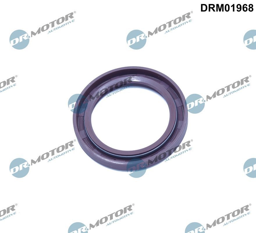 DR.MOTOR AUTOMOTIVE Anello tenuta, Differenziale DRM01968 DRM01968 Anello tenuta, differenziale AUDI DR.MOTOR AUTOMOTIVE costo