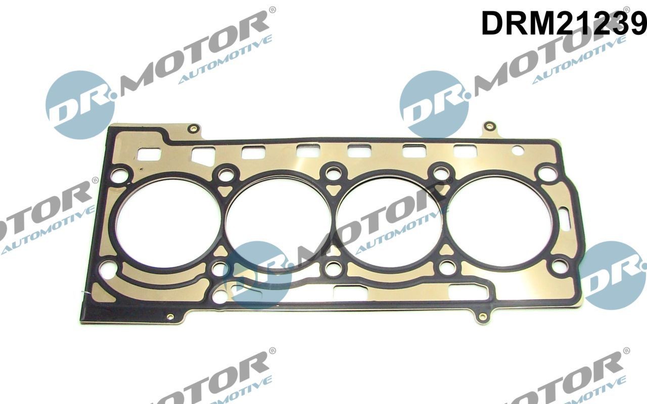 DR.MOTOR AUTOMOTIVE Tesnenie hlavy valcov DRM21239 Tesnenie hlavy valcov DR.MOTOR AUTOMOTIVE Seat IBIZA DRM21239