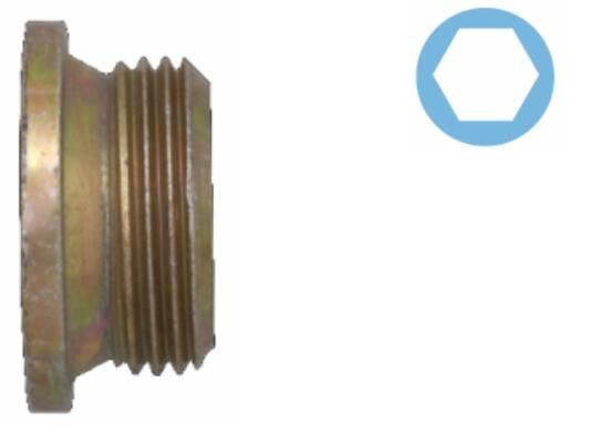 Sealing Plug, oil sump CORTECO 220133S CORTECO 220133S 2007 FIAT DUCATO sump plug replacement