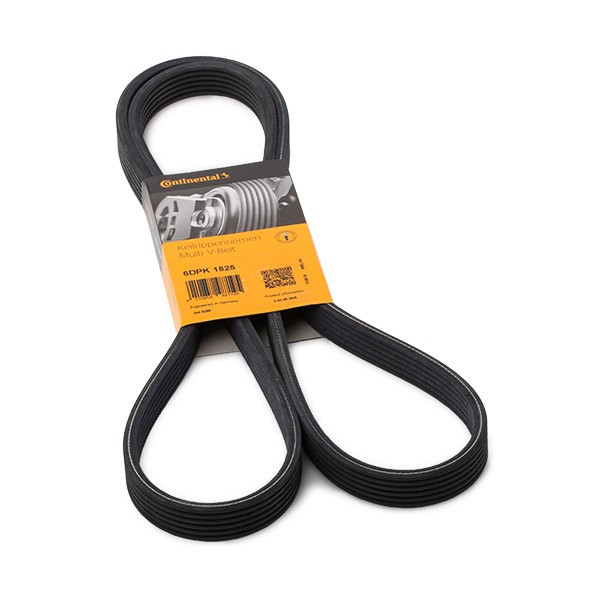 CONTITECH Multirem 6DPK1825 Kedje Porsche 718 Cabriolet: Multirem CONTITECH 6DPK1825