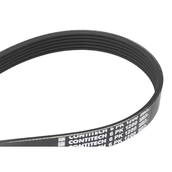 CONTITECH Soonrihm 6PK1200 CONTITECH 6PK1200 Soonrihm