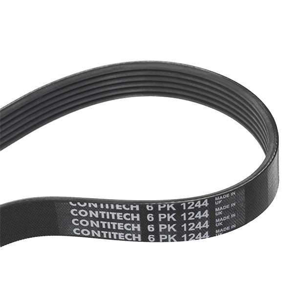 CONTITECH Serpentine belt 6PK1244 Lexus CT CONTITECH serpentine belt 6PK1244
