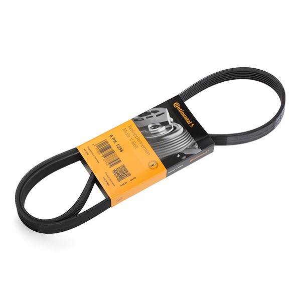 CONTITECH Serpentine belt 6PK1256 CONTITECH 6PK1256 Toyota Land Cruiser J7 Hardtop serpentine belt cost