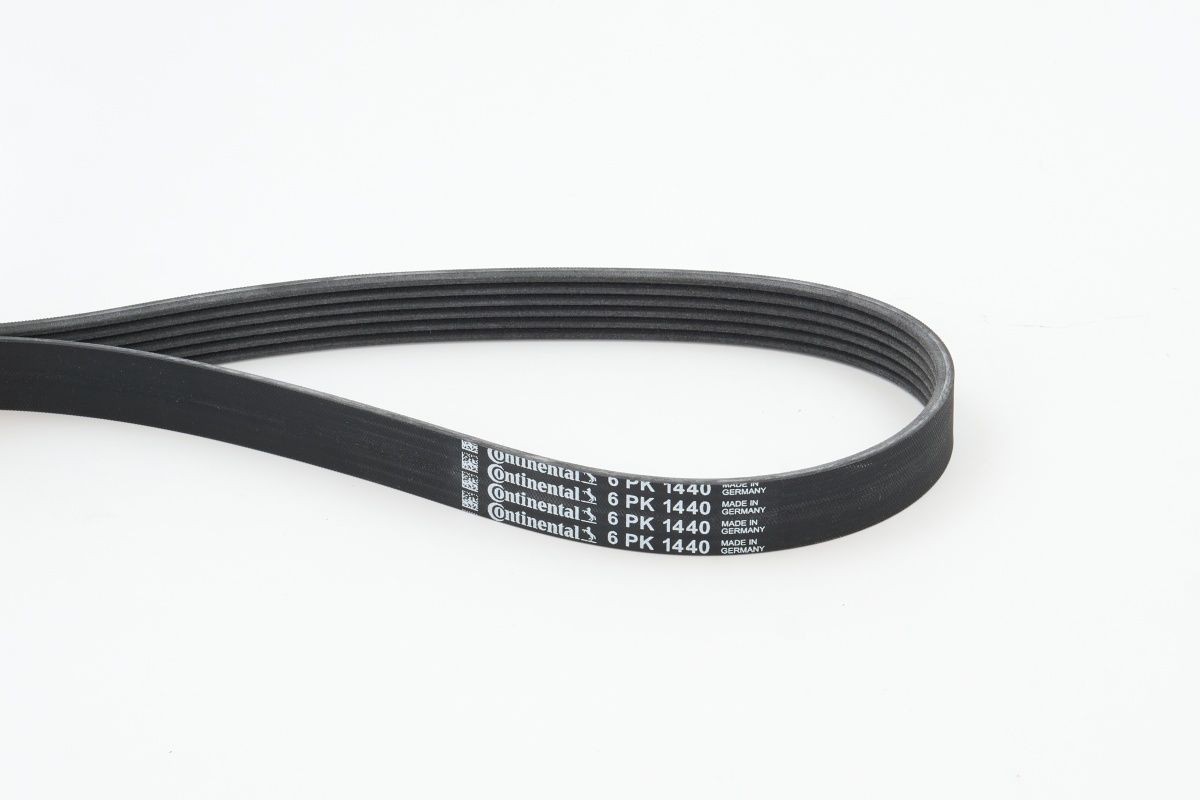 CONTITECH Ķīļrievu siksna 6PK1440 CONTITECH 6PK1440 Ķīļrievu siksna Citroen AMI lēti