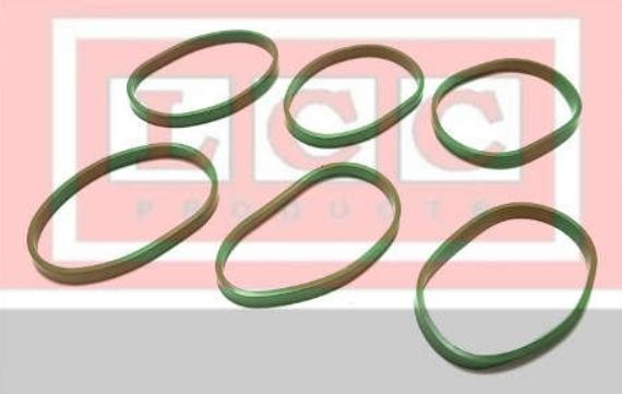 LCC Pakkingsset, inlaatspruitstuk TR1385 Mercedes-Benz M-Klasse Inlaatspruitstuk pakking LCC TR1385