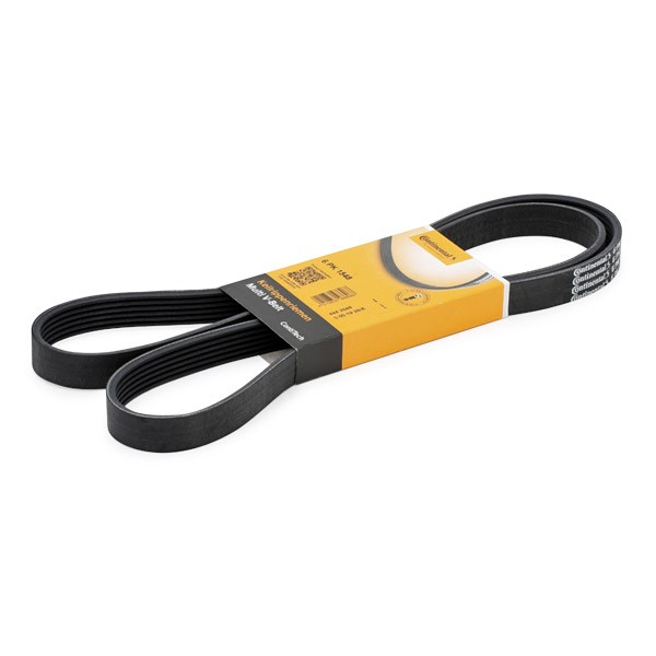 CONTITECH Kilerem 6PK1548 CONTITECH 6PK1548 440 K (445) Ribrem originale pris