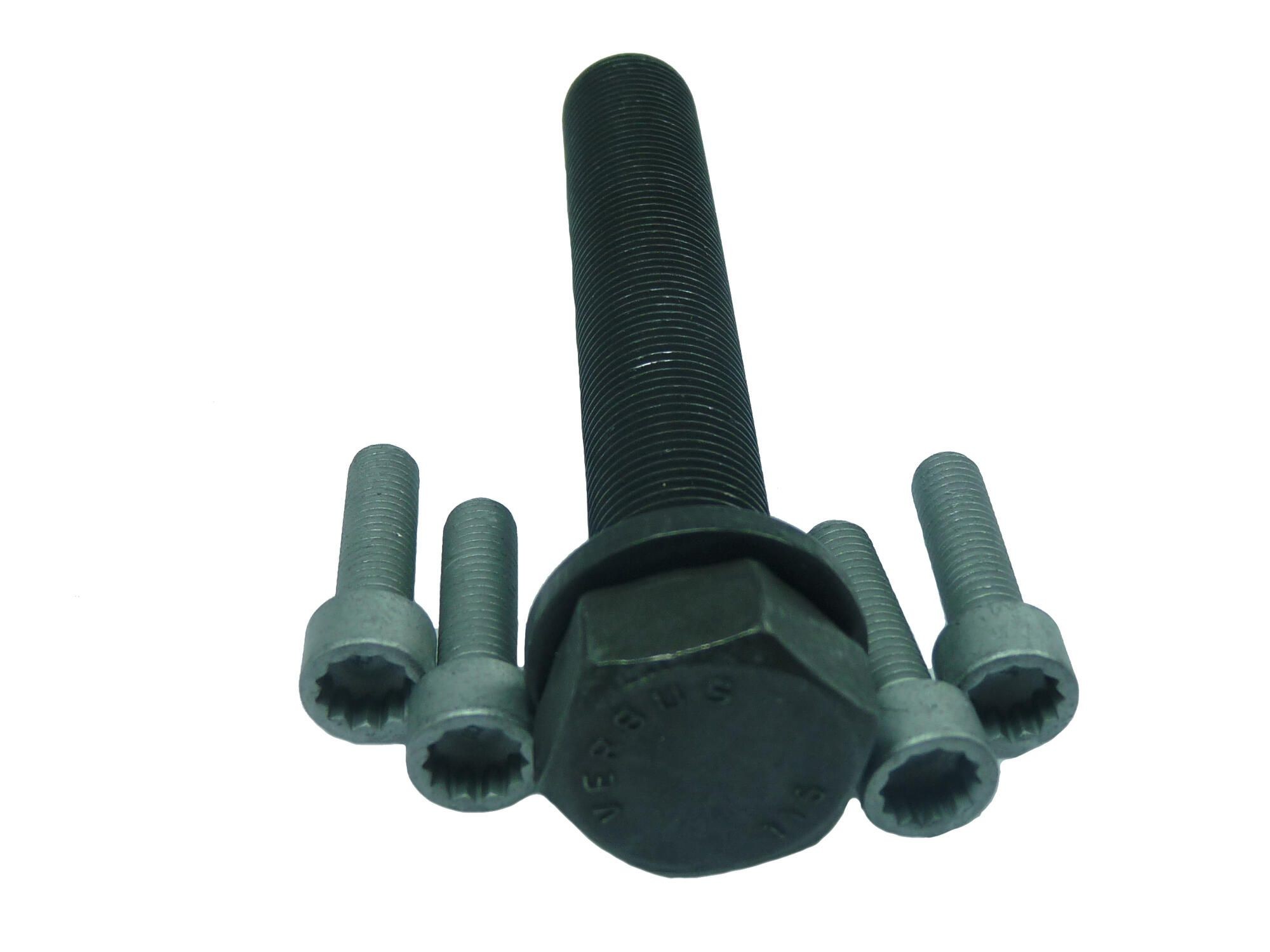 CORTECO Skruesæt, remskive-krumtap 80001244 CORTECO 80001244 VW Caddy 4 Kombi Remskiveskrue pris