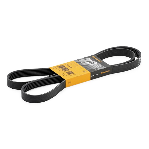 Multiriem CONTITECH 6PK1642 CONTITECH 6PK1642: Accessoireriem Volvo V40 Hatchback 1999