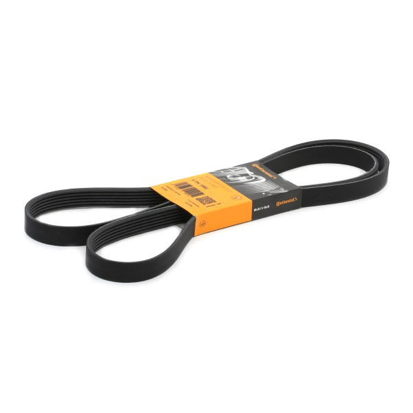 CONTITECH Ιμάντας poly-V 6PK1880 CONTITECH 6PK1880 Ιμάντας δυναμό Volvo 340-360 γνήσια