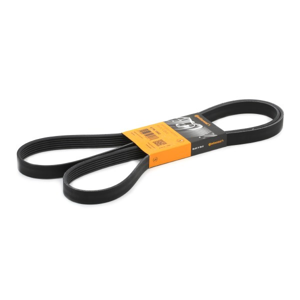 CONTITECH Correia trapezoidal estriada 6PK1900 CONTITECH 6PK1900 Correia trapezoidal estriada Opel Vectra A a um preço acessível