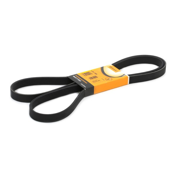 CONTITECH Serpentine belt 6PK1990 CONTITECH 6PK1990 Serpentine belt - Jaguar S-Type X200 belt / chain drive parts