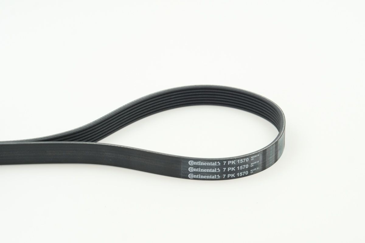 Serpentine belt CONTITECH 7PK1570 CONTITECH 7PK1570 2012 DACIA LODGY serpentine belt replacement